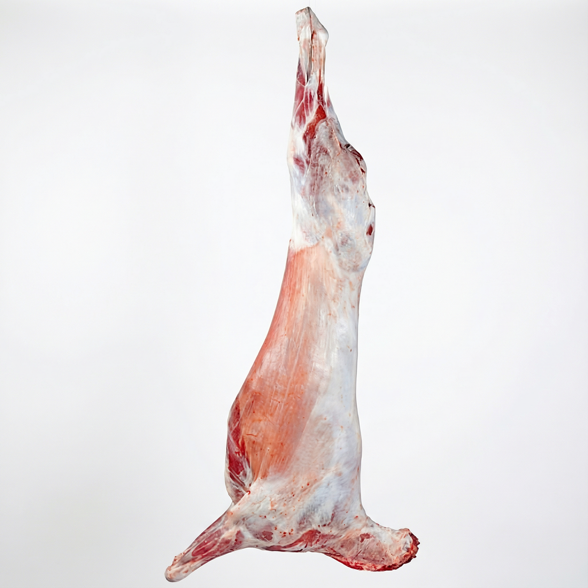 Lamb Carcasses